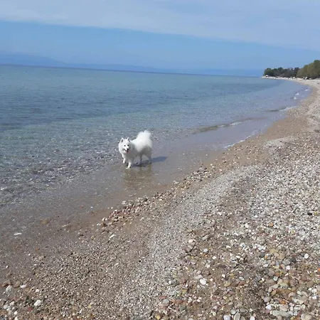 Front House Prázdninový dům