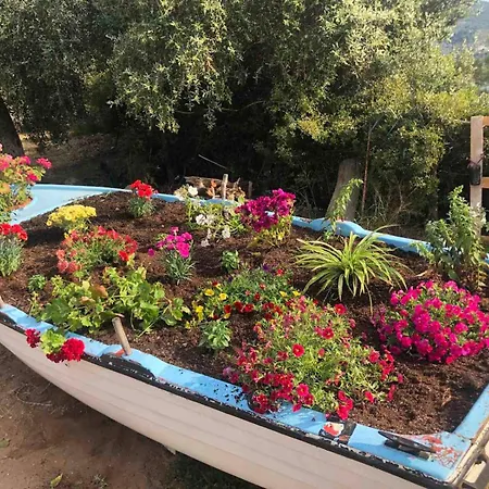 Front House * Skála Kallirákhis