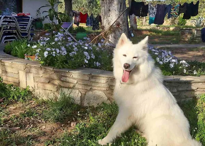 Semesterbostad Front House