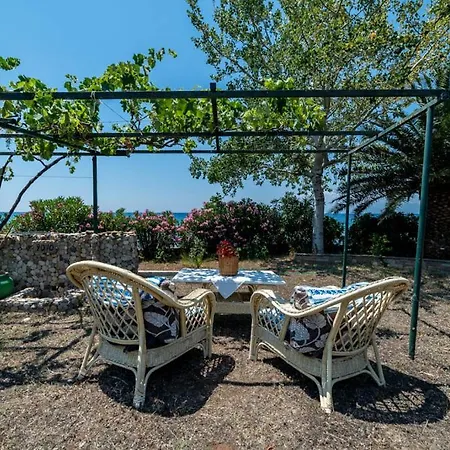 Front House بيت للعطل *