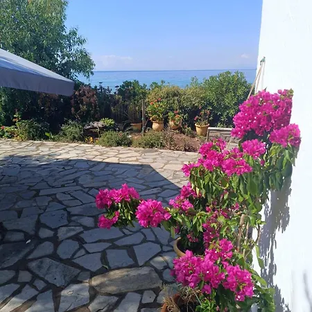 بيت للعطل Front House