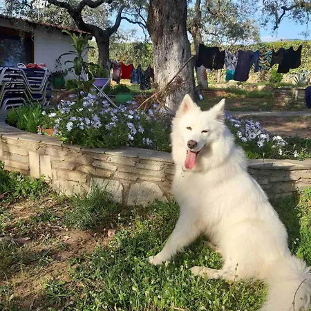 بيت للعطل Front House