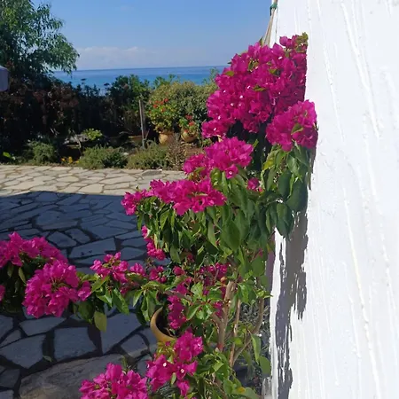 Front House * Skála Kallirákhis