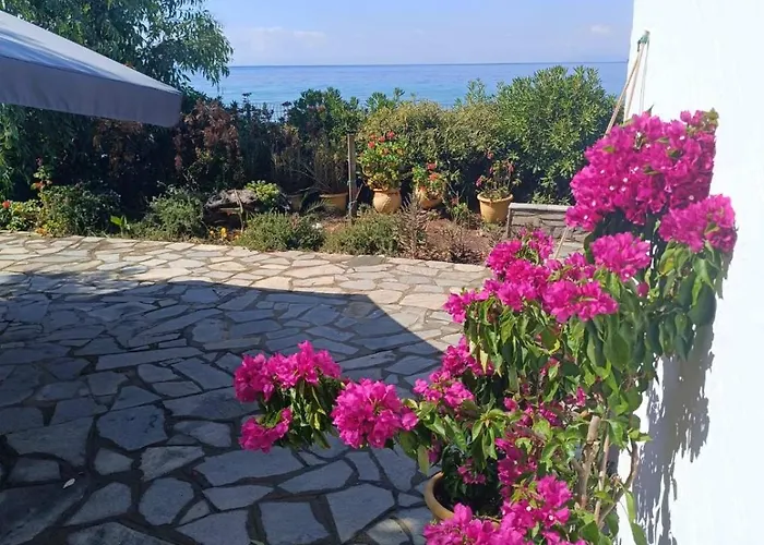 Ferienhaus Front House