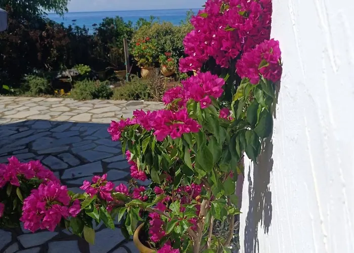 Front House * Skála Kallirákhis