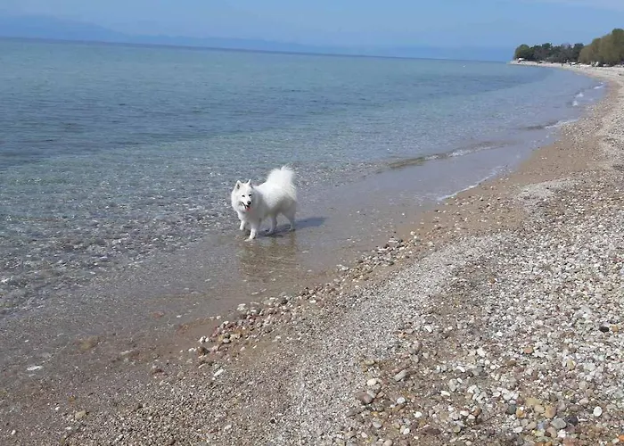 Front House Ferienhaus